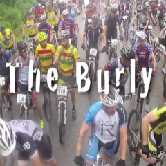 The Burley resized website still