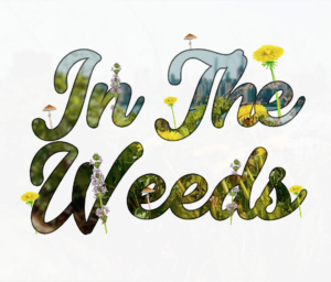 In The Weeds